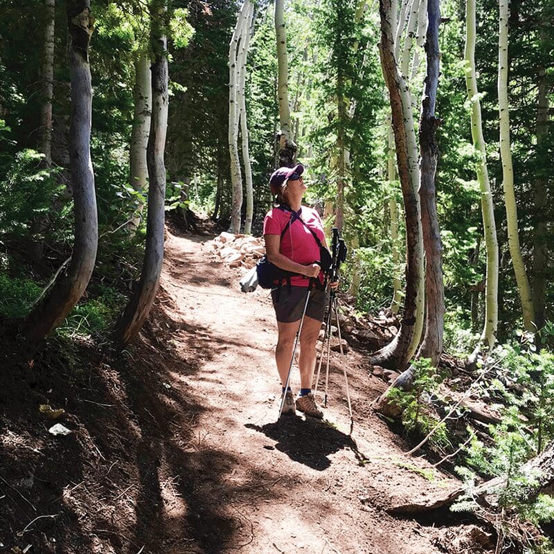 Red Pine Lake Trail in Utah