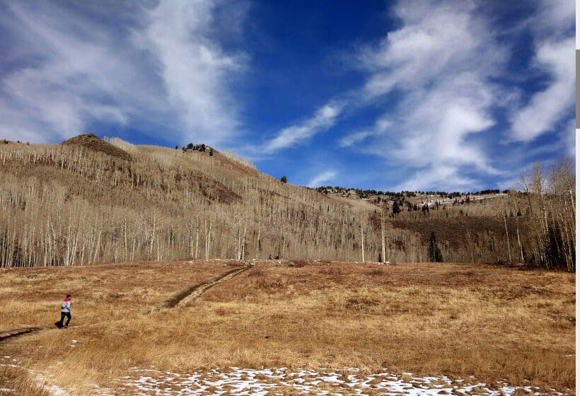 Willow Heights autumn