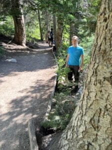 Silver Lake Utah trail wood barriers replaced