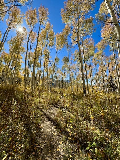 Willow Heights Trail October spring hike