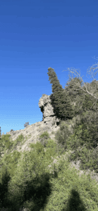 pharaoh landmark u:kylethemanager