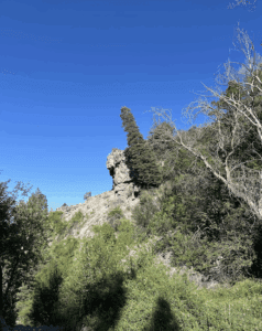pharaoh landmark u:kylethemanager