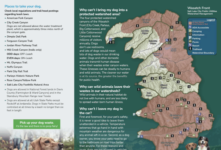 Dogs and the Wasatch Front Watershed - SLC Public Utilities - page 2