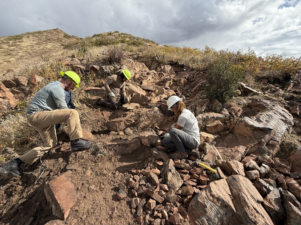 Quarry Loop Trail, Living Room Trail maintenance 2025