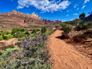 Nung 'wu Poa Paiute Trail