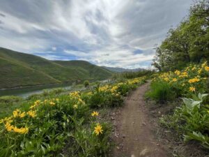 Mormon Pioneer Trail Spring 2024