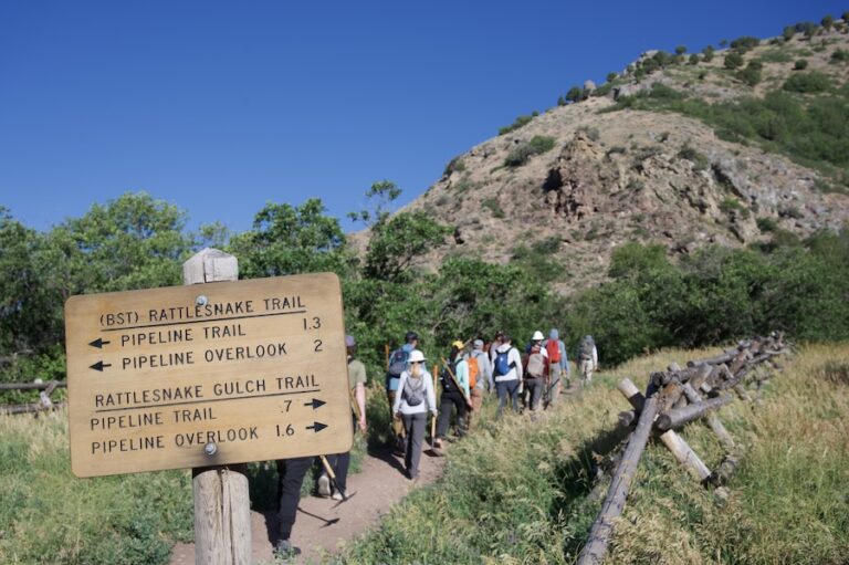 June 2026 Trail work with CCF at Rattlesnake Trail